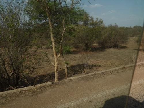 On the way home - Dissin