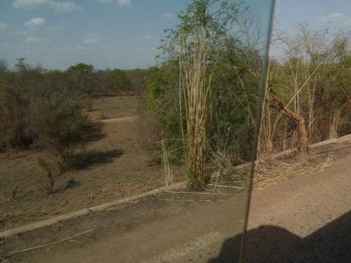 On the way home - Dissin