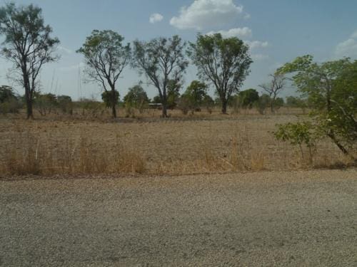 On the way home - Dissin