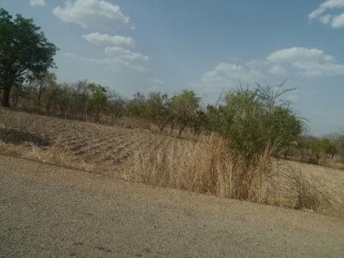 On the way home - Dissin