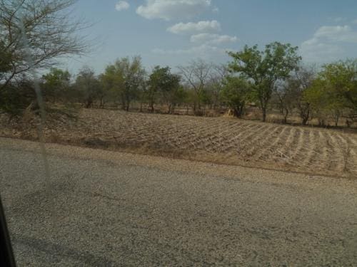 On the way home - Dissin