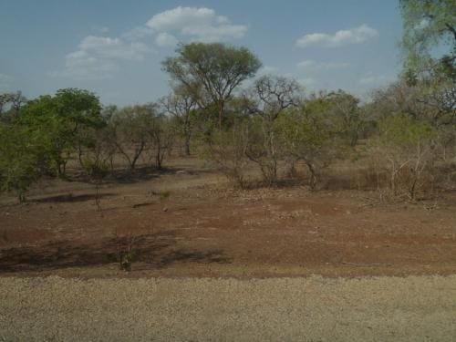 On the way home - Dissin