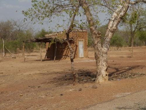 On the way home - Dissin