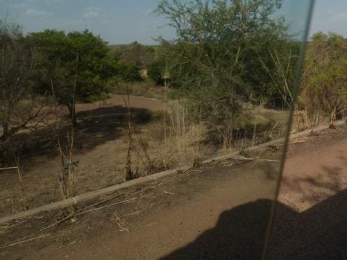 On the way home - Black volta