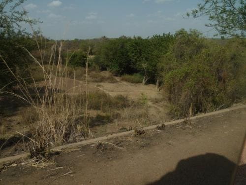 On the way home - Black volta